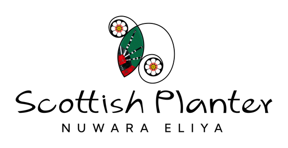 Scottish Planter - Nuwara Eliya | Thema Collection logo