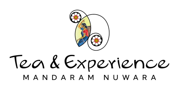 Tea & Experience Factory - Mandaram Nuwara | Thema Collection logo